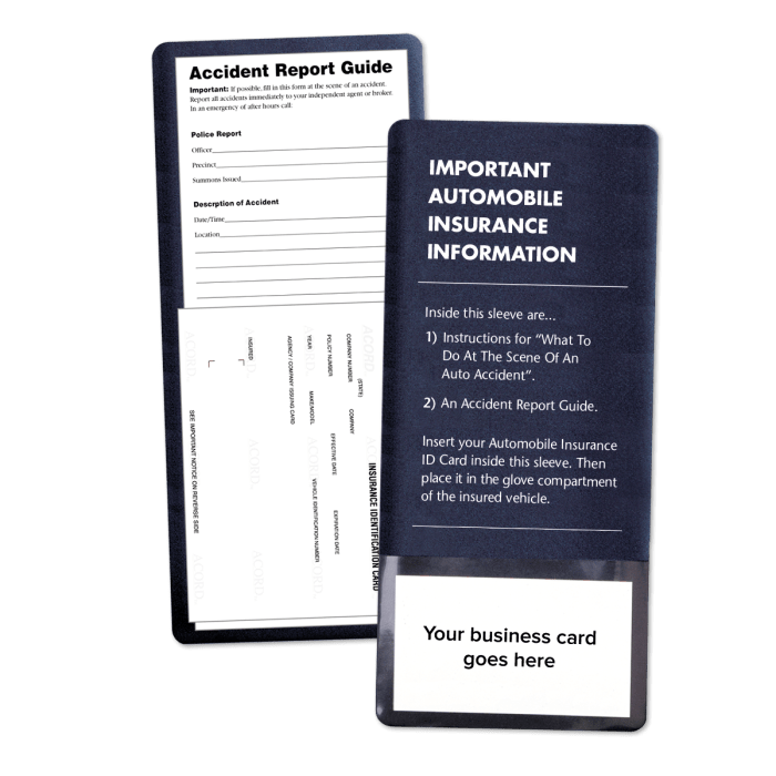 Ebt card holders car insurance