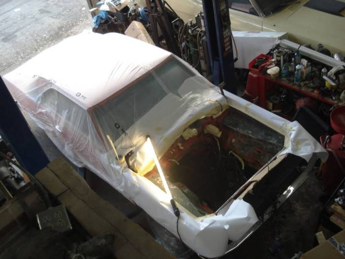 How much paint to paint a hood