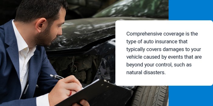 Does car insurance cover natural disasters