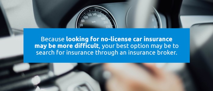 Automotive Insurance coverage With out License Texas A Complete Information