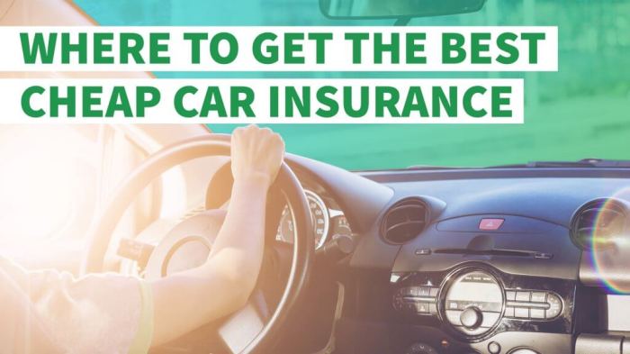 Low-cost Automotive Insurance coverage for Single Mothers