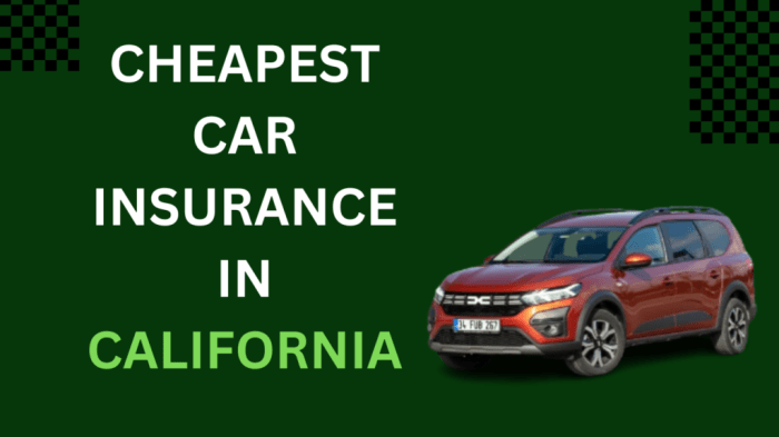 Reasonably priced Automobile Insurance coverage in Torrance Your Information