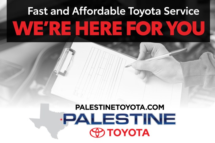 Automotive Insurance coverage in Palestine, Texas Your Complete Information