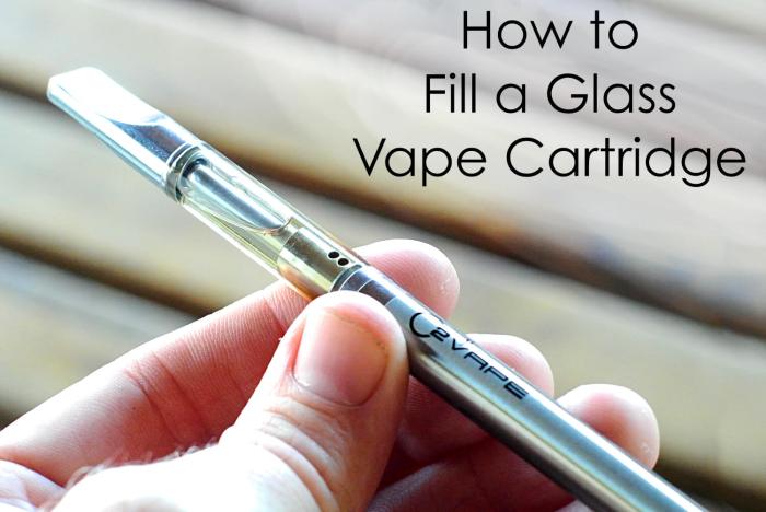 Frozen Fields Vape  Use One A Newbies Information