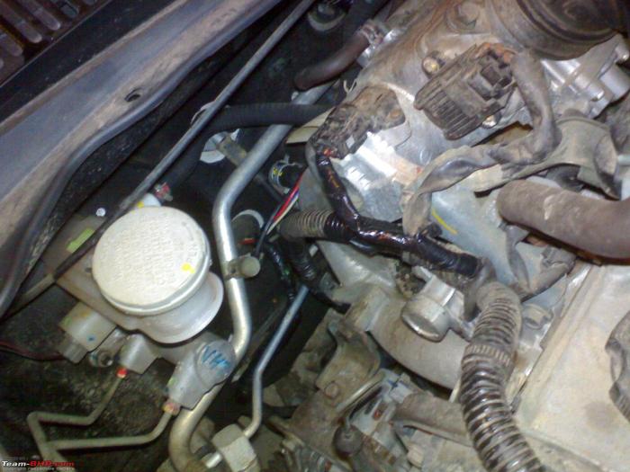 Does car insurance cover rat damage