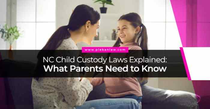 Profitable Sole Custody in NC A Complete Information