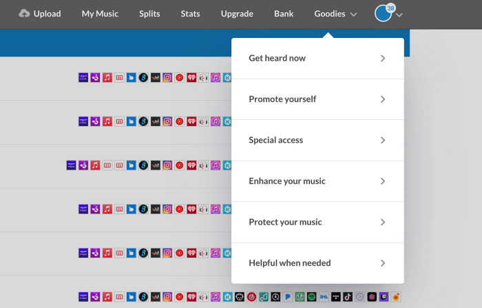 How long does it take distrokid to upload to spotify