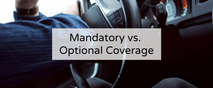 Financed Automotive Legal responsibility Insurance coverage A Information