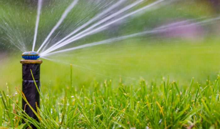 Selecting the Proper Sprinkler Head Size A Information