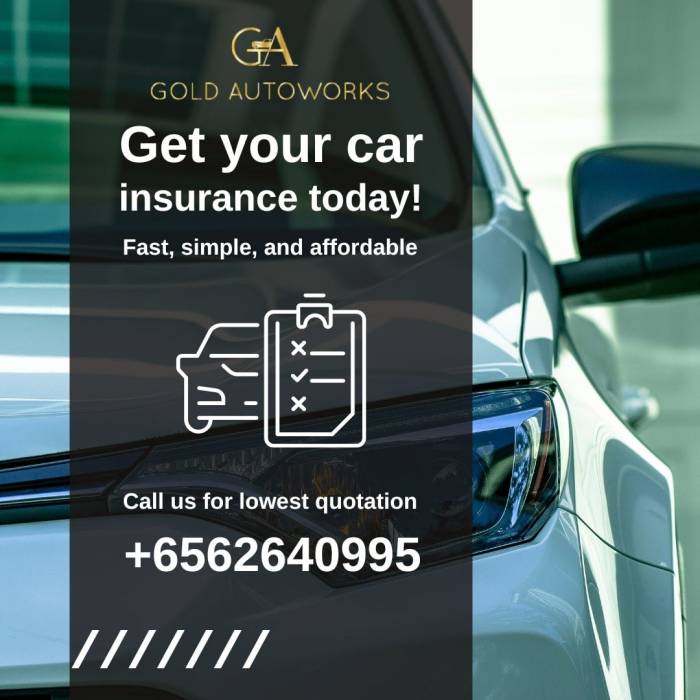 Authorities Help for Automotive Insurance coverage A Complete Information