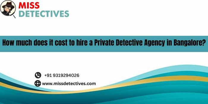 How A lot to Rent a Non-public Detective A Complete Information