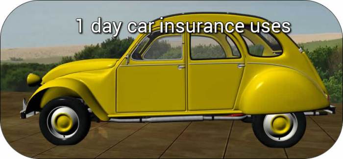 1 Greenback a Day Automobile Insurance coverage  A Hilarious Gamble?