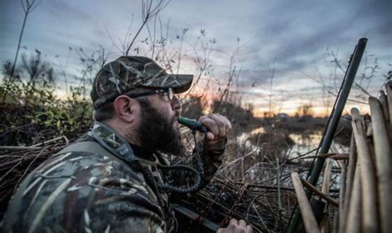 Master the Art of Duck Calling: The Ultimate Guide to Blowing a Duck Call