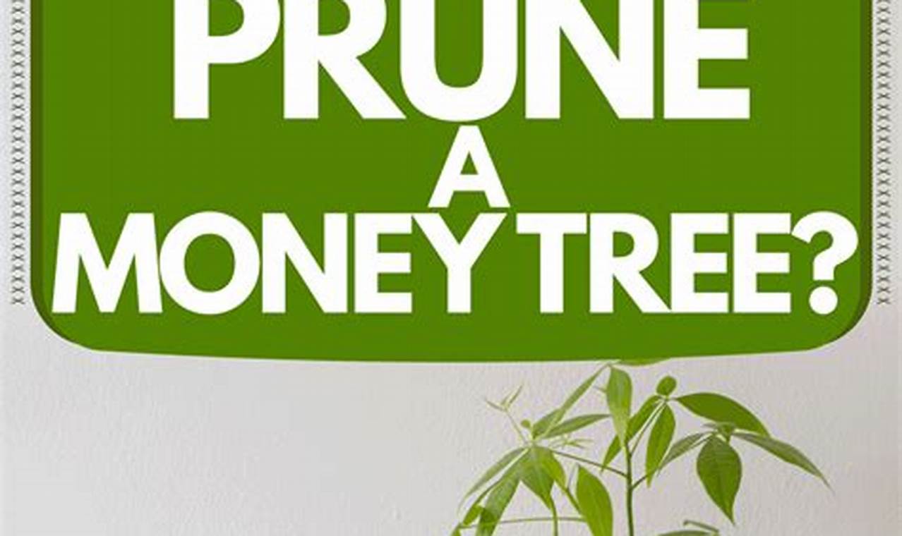 The Ultimate Guide: How to Properly Prune Your Money Tree for Abundance