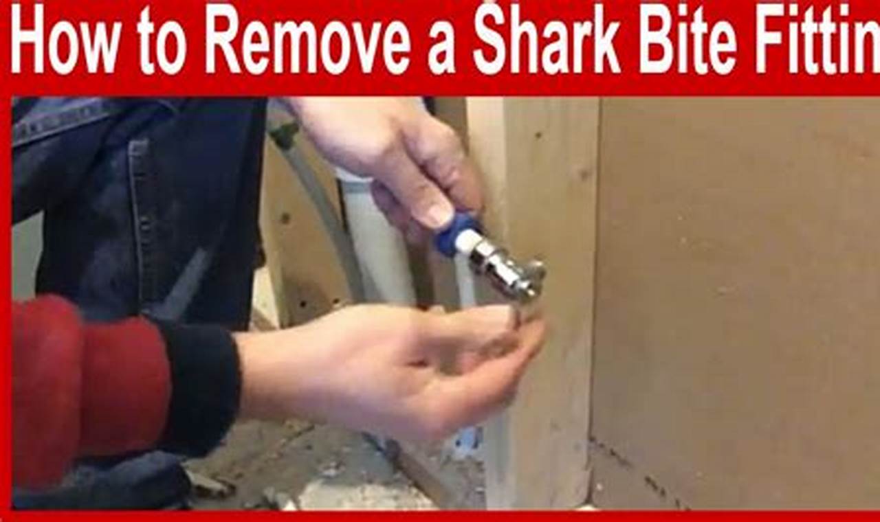 The Ultimate Guide: Safely Removing Shark Bites