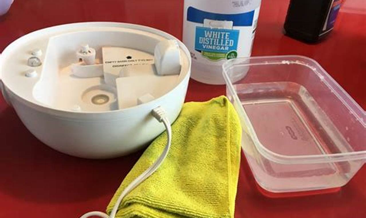 The Ultimate Guide to Keeping Your Humidifier Spotless: A Step-by-Step Cleaning Tutorial