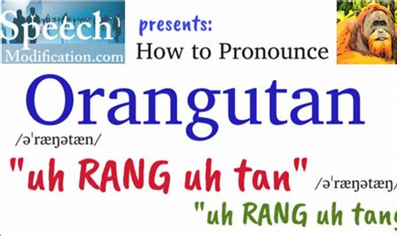 The Ultimate Guide on How to Pronounce Orangutan: A Comprehensive Lesson