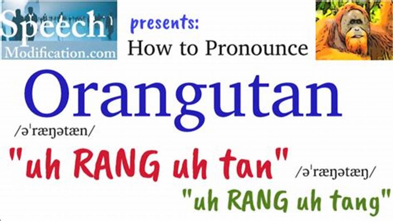 The Ultimate Guide on How to Pronounce Orangutan: A Comprehensive Lesson