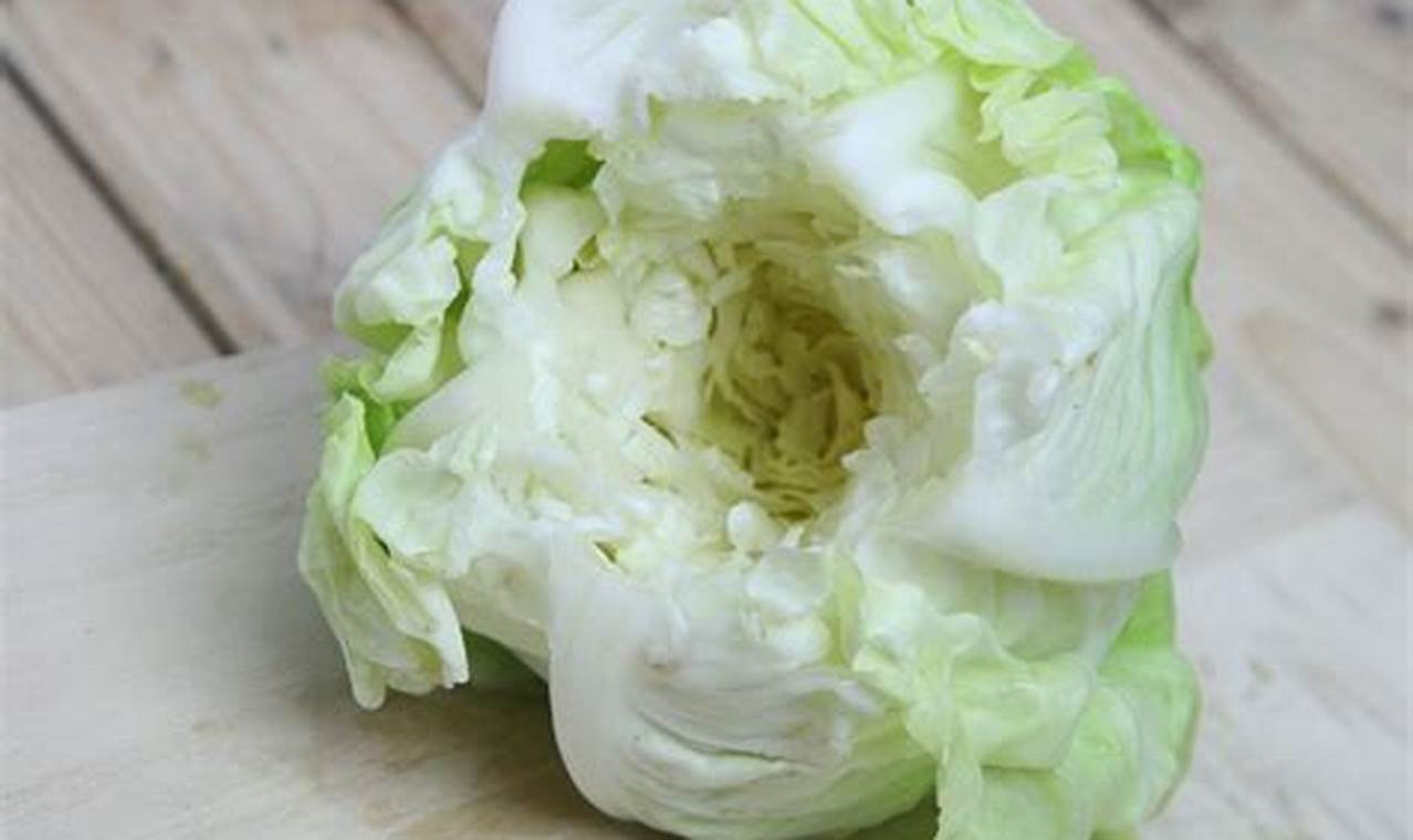 How To Core A Cabbage: The Ultimate Guide