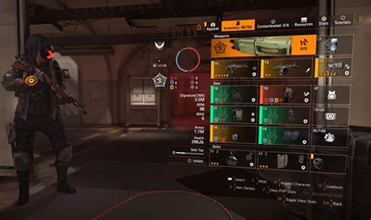 How to Hide Your Build in The Division 2