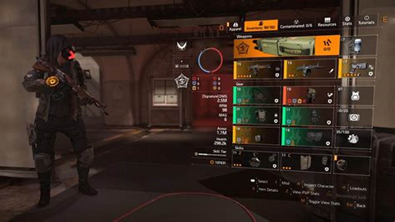 How to Hide Your Build in The Division 2