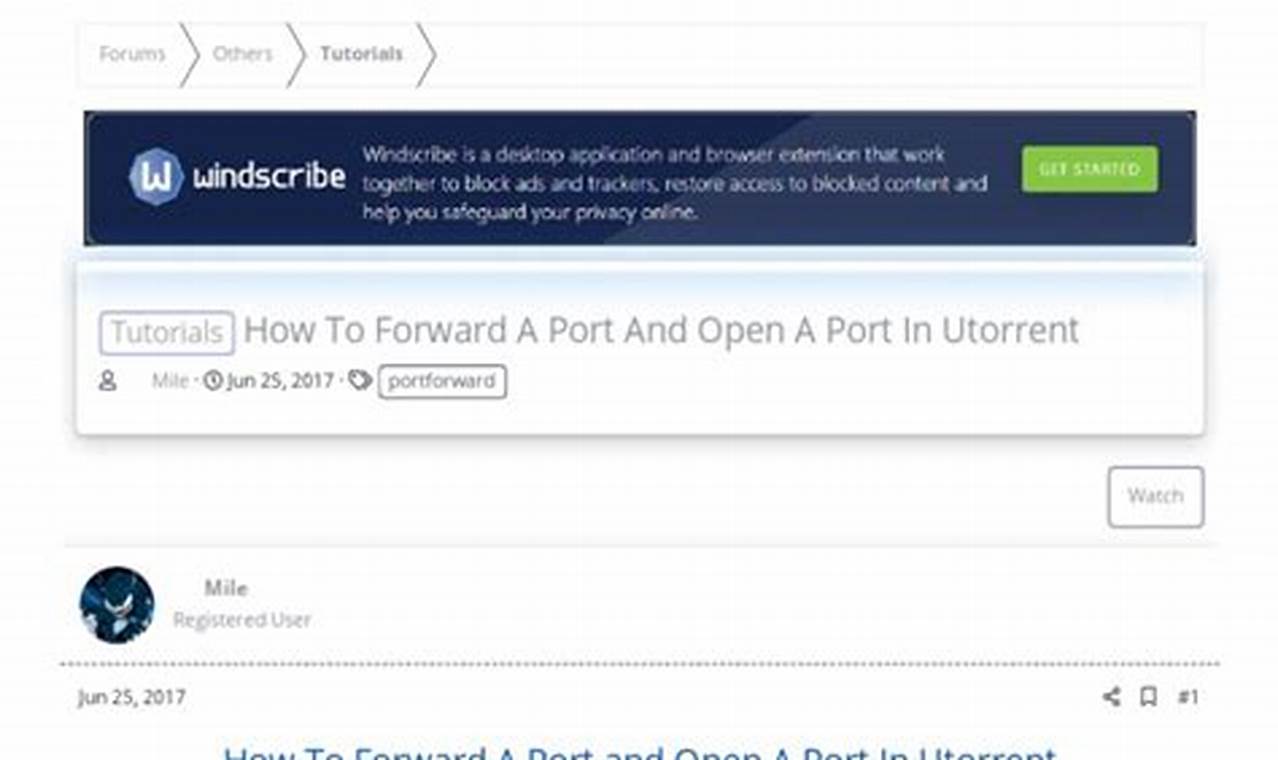 Step-by-Step Guide: Unlocking Your Router Port for Qtorrent