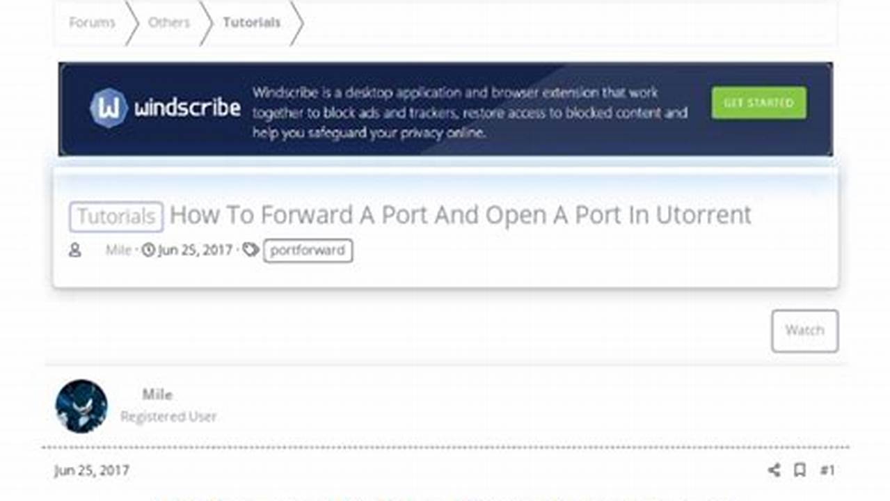 Step-by-Step Guide: Unlocking Your Router Port for Qtorrent