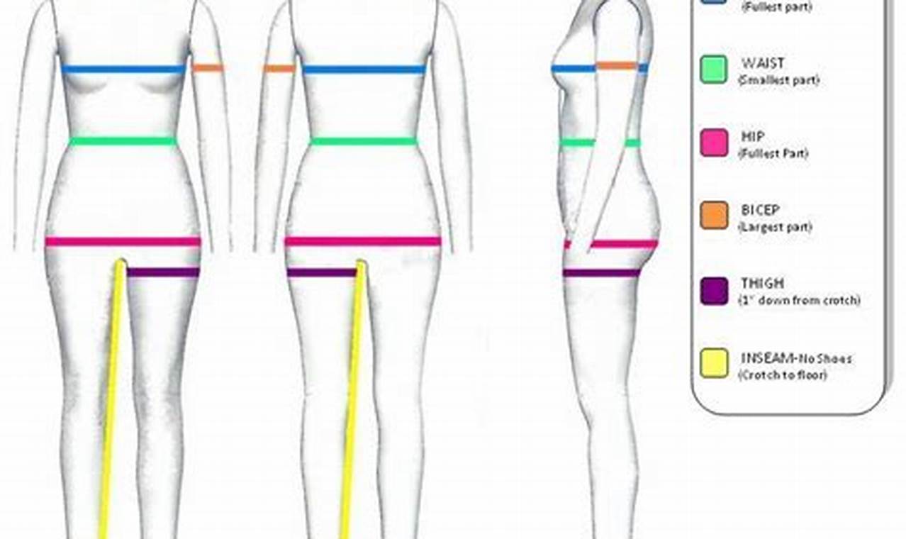 The Ultimate Guide to Measuring Hips for Modelling Success