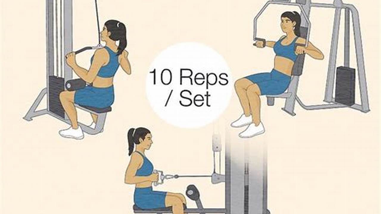 Get Started with Gym Equipment: A Comprehensive Guide