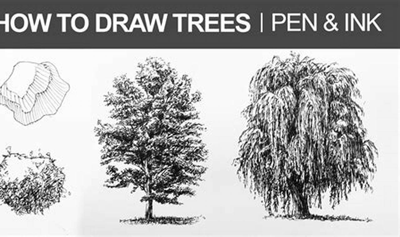 Beginner's Guide: Draw Stunning Trees Reaching Skyward