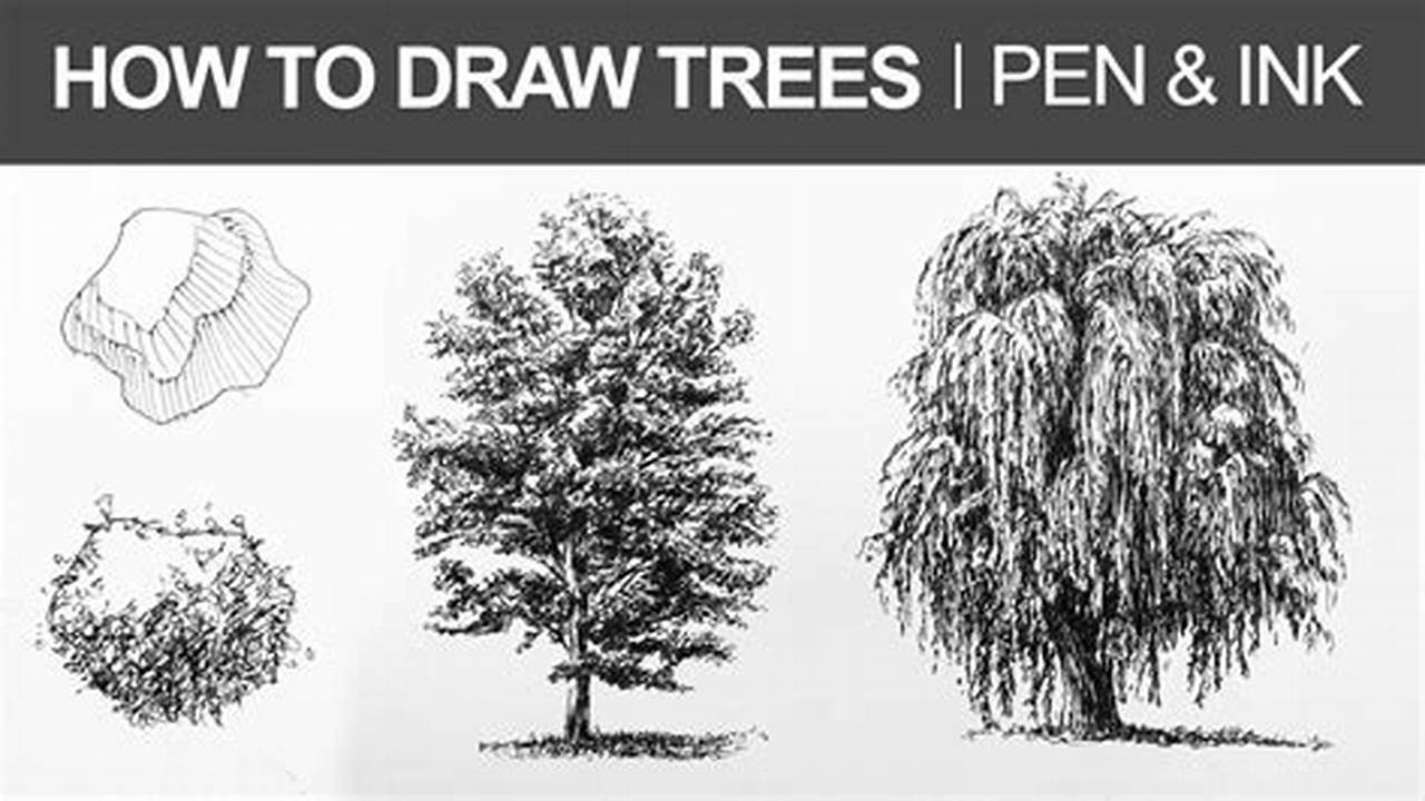 Beginner's Guide: Draw Stunning Trees Reaching Skyward