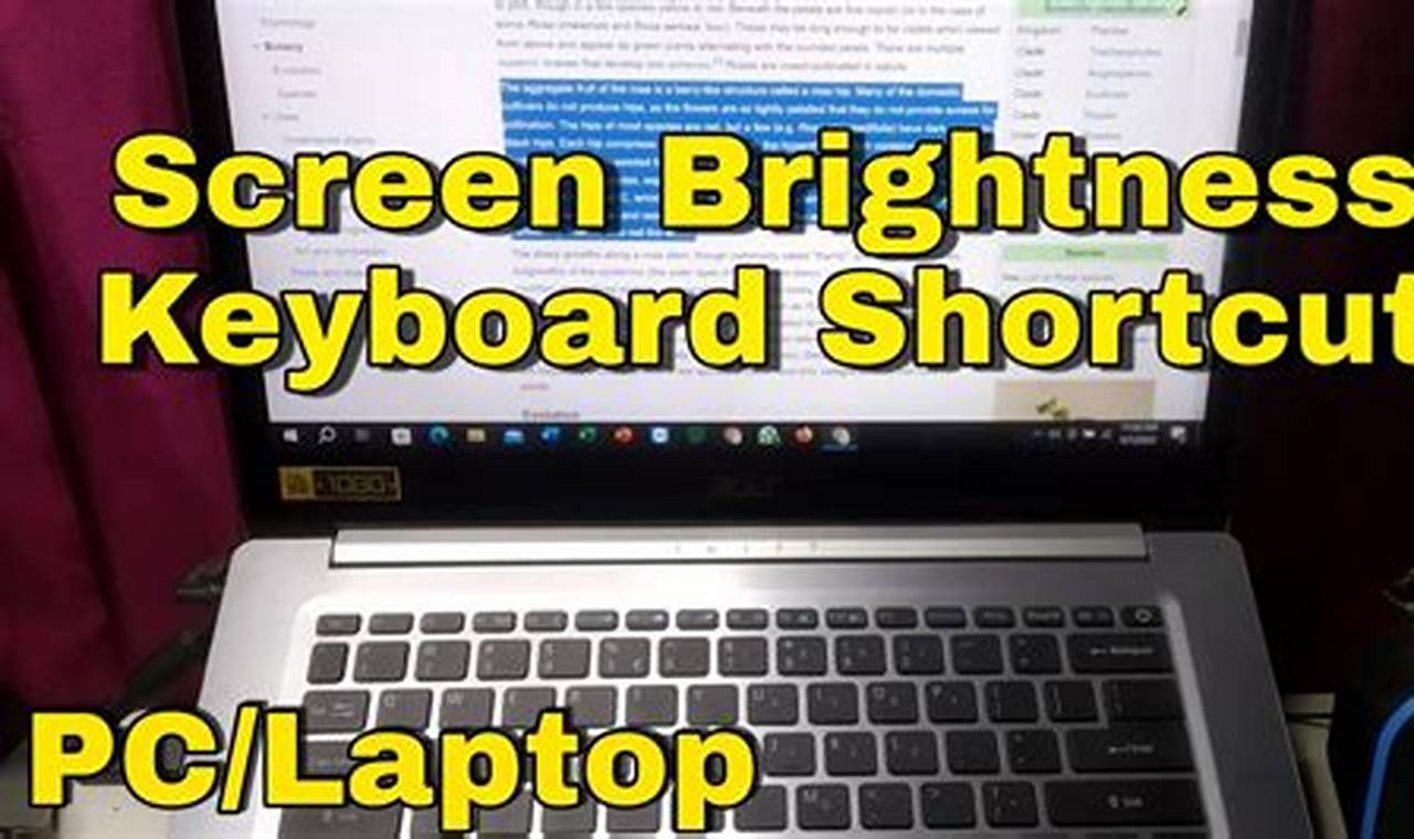 The Ultimate Guide to Lowering Screen Brightness on Corsair Keyboards: A Comprehensive Walkthrough