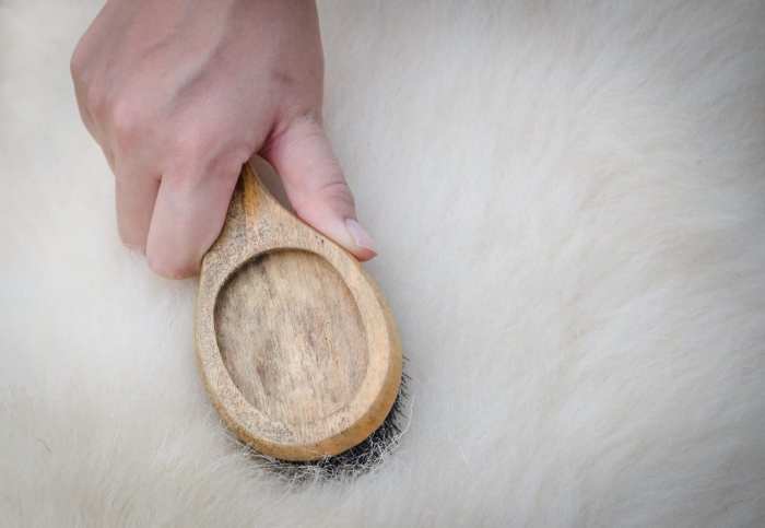 Tips on how to Brush a Sheepskin Rug A Full Information