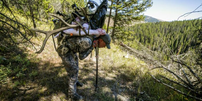 How to quarter an elk