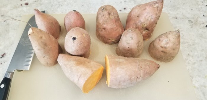 Potatoes texas east sweet Sweet potato origins Texas