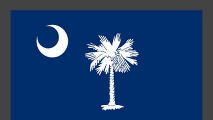 South Carolina Notary Your Information to Changing into One