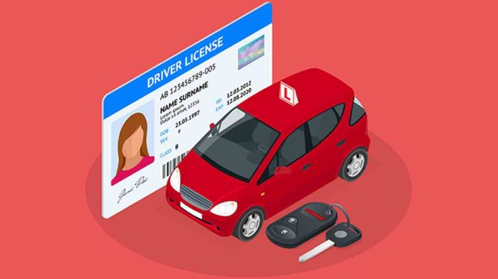 Do you need car insurance to get a driver's license