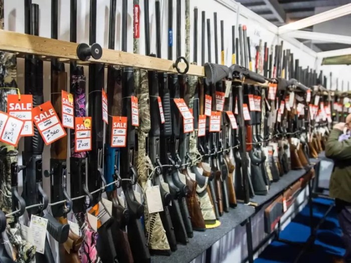 How to buy a gun in north carolina
