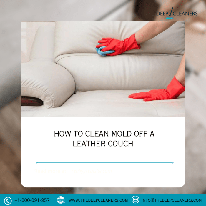 How to clean mildew off leather