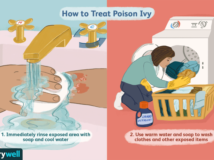 How you can Take away Poison Ivy Oil from a Weed Wacker