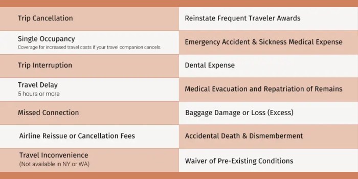 Swiss Journey Insurance coverage What to Choose
