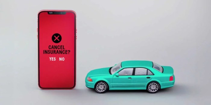 Cancelling Nationwide Automobile Insurance coverage A Complete Information