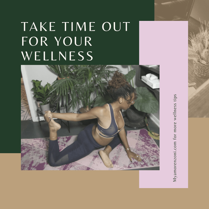 Funds-Pleasant Wellness Plan A Information