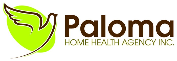Launching a Texas Residence Well being Company A Complete Information