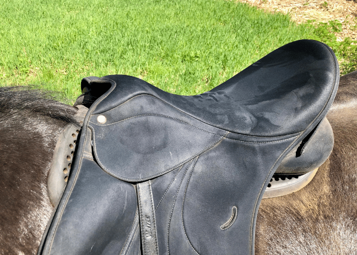 The right way to Clear a Saddle A Complete Information