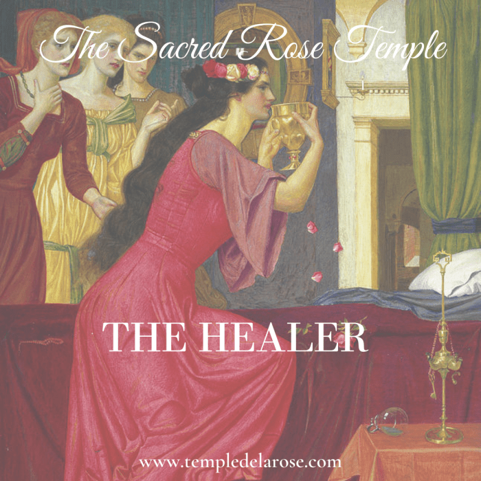 How one can Practice Your Healer Chapter 23 Healers Journey
