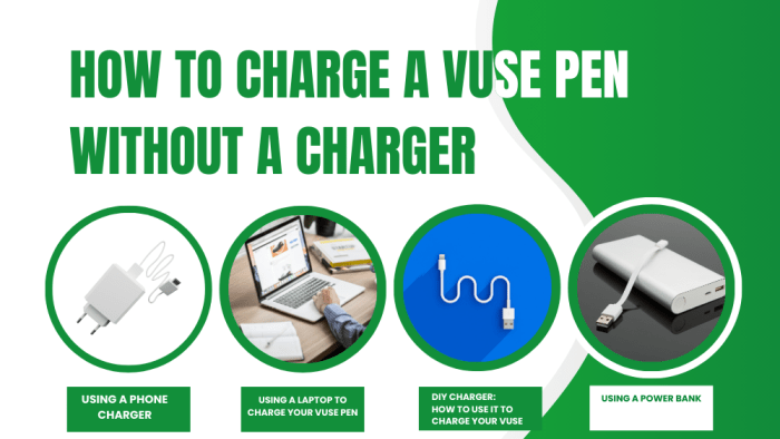 Tips on how to Cost Vuse A Full Information