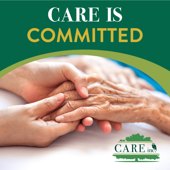 Care N Care Insurance coverage A Strong Overview