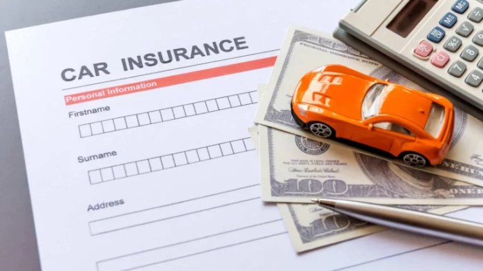 Damage car rat insurance covered auto Damage car rat insurance covered auto