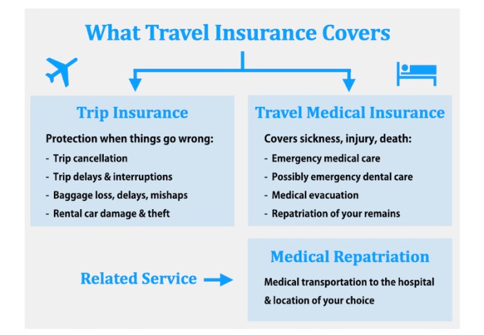 Journey Insurance coverage & Automotive Rent  A Deep Dive